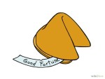 Fortune