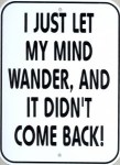 Wandering Mind
